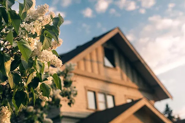 Artistic shot of flowers and house in the background